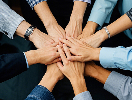 1734571634702987.jpg 8.jpg